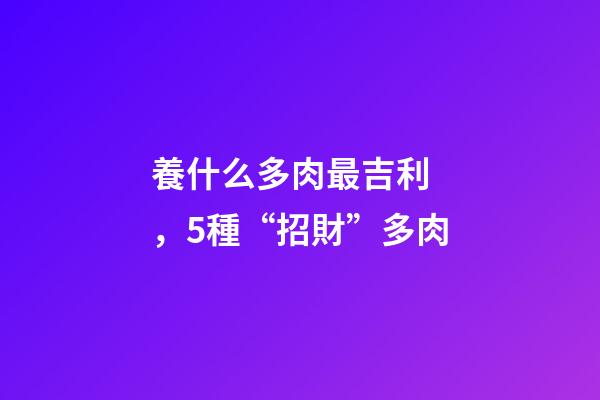 養什么多肉最吉利，5種“招財”多肉-第1張-觀點-玄機派